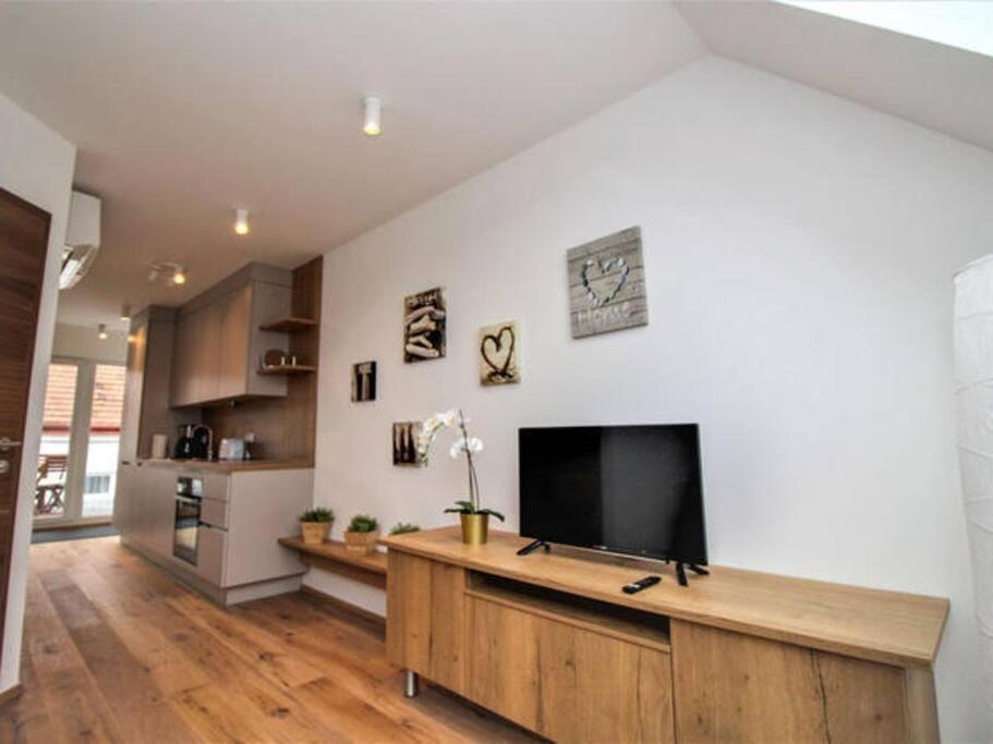 Luxury 2-floor Rooftop With Terrace In The City Center Apartment Wien